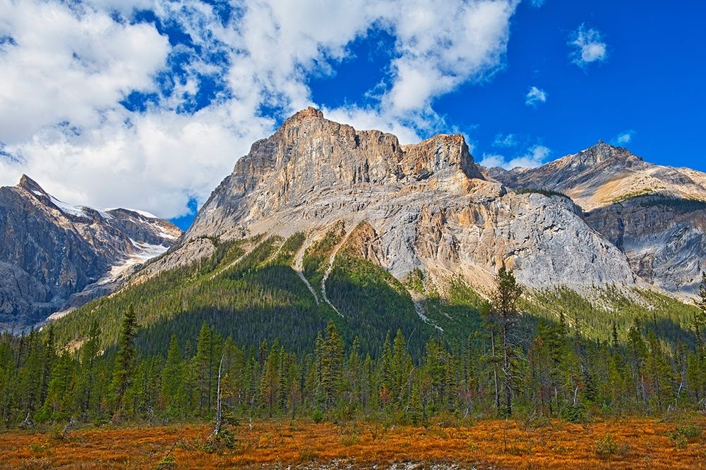 Canada-Alberta-Yoho National Park The President Range mountain landscape art print by Jaynes Gallery for $57.95 CAD